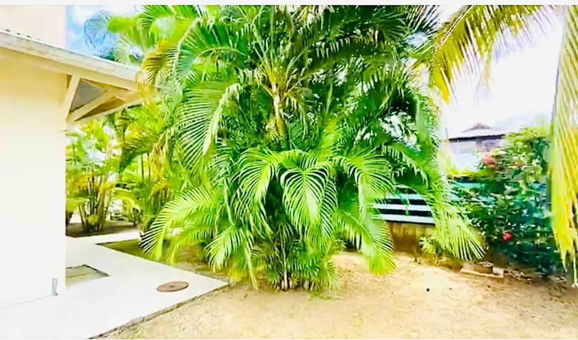 Le Rosa Parks Clemartha Apartment Kourou Exterior photo